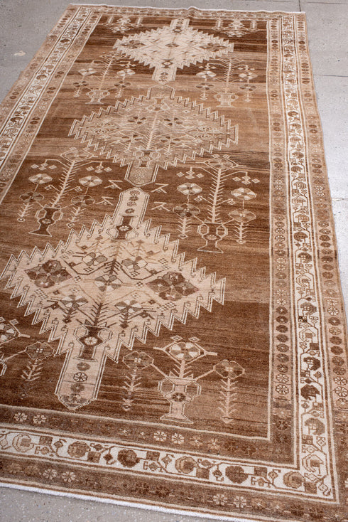 Antique Hamadan Area Rug (5' x 9')